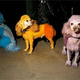Image for article titled Fashion Week Roundup